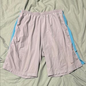 Nike Men's Athletic Shorts in Gray and Blue